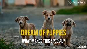 Dreams about puppies are sometimes an indication your relationships are stable and rewarding. Dream Of Puppies What Makes This Special Dejadream