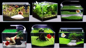 Decryption Top 7 Amazing Diy Aquarium Decoration Ideas For Betta Guppy Fish Not Goldfish Youtube Aquarium Decorations Betta Diy Aquarium