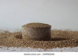 Image result for Paspalum scrobiculatum