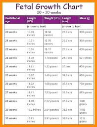 Pregnancy Baby Chart Week By Week Pregnancy Baby Size Chart