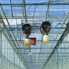 Pest control experts will relieve you of your problems with pests. Kill Man Pest Control Villivakkam Residential Pest Control Services In Chennai Justdial
