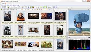 Xnview mp/classic is a free image viewer to easily open and edit your photo file. Xnview Mp Xnview Com