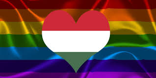 Get video, stories and official stadium guides & uefa festival. Xgrkkethmmhtqm