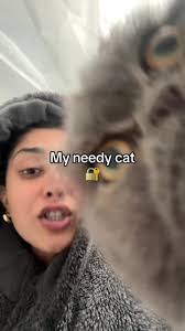 Bath Times Cat Locked in Shower