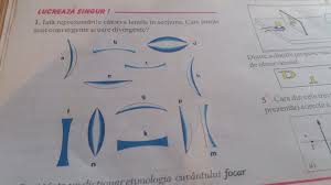 Par la déviation produite sur un faisceau de lumière parallèle. Iata Reprezentarile Catorva Lentile In Sectiune Care Lentile Sunt Convergente Si Care Brainly Ro