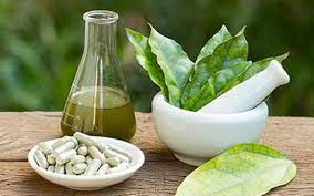 Vitiligo is a progressive disorder in which some or all of the melanocytes in the affected skin are some types of vitiligo or lesions in certain locations may be more or less responsive to treatment. Drdo Develops Herbal Drug To Treat Leucoderma The Hindu Businessline