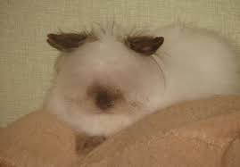 Ну а как иначе-то?» - 17.11.20 22:04 | Пикабу