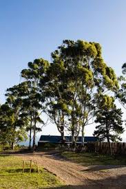 Les Maisons De Stars A Miami Maison De Star Maison Miami
