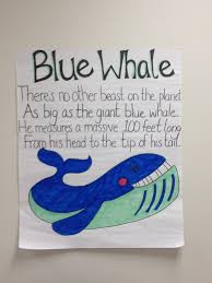 Pin By Alex Dwyer On D309 S Beautiful Creations Whale Theme Ocean Kindergarten Ocean Fun