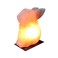 Can rabbits eat salt : Himalayan Salt Lamp Rabbit