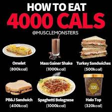 Pin On Chocolate Shakeology Recipes