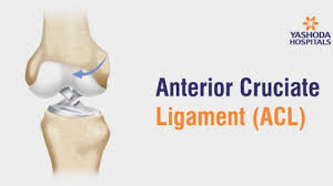 Whatever your reason to improve your english, maths, science or digital skills, acl can help! Acl Anterior Cruciate Ligament