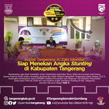 Percepatan penanganan stunting tahun 2020 kelak diperluas ke 260 kabupaten/kota dari yang sebelumnya 160 kabupaten/kota pada 2019. Dalam Kegiatan Rembuk Pemerintah Kabupaten Tangerang Facebook
