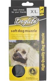 Doglife Kopek Egitim Malzemeleri Ve Malzemeleri Hepsiburada Com