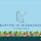 Raptor ID Workshop- RSPB St Aidan's event image