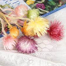 Maybe you would like to learn more about one of these? Wholesale Dried Vases Flowers Bulk Natural Bouquet Craft Preserved Rock Flower Buy Wholesale Dried Flowers Preserved Rock Flower Rock Flower Product On Alibaba Com