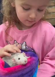 Thanks to everyone who came to see us at Purple Pets with our amazing  rescue animals! 🐍 All the sessions sold out so quickly again and we are  always so grateful to