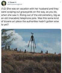 Sirenhead, a monstrous emaciated creature with sirens for heads, has been making its rounds on tiktok. Siren Head Know Your Meme