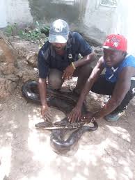 We would like to show you a description here but the site won't allow us. Snike Farm Timotours Gambia Smile Facebook