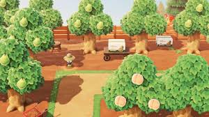 Each town starts with one of five types of fruit as its native fruit: Christine On Twitter Animal Crossing Wild World Animal Crossing Animal Crossing Tree Layout