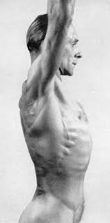 This set is often saved in the same folder as. Male Anatomy Torso Arm Head Pelvis Side View Gottfried Bammes Anatomieverweis Anatomie Menschlicher Korper Anatomie