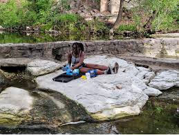 Image result for Science Environment Environmental Health Directories