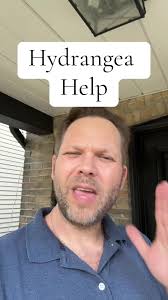 Insect That Is An Iris That Climbed