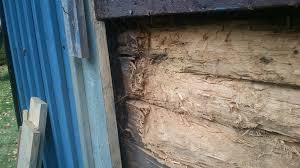 Image result for site:byggahus.se rötskada