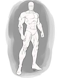 Check spelling or type a new query. Muscular Male Anatomy Reference Novocom Top