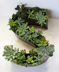 Custom Made Monogram Succulent Planter Painted Salvaged Channel Letter Unique Gift Wedding Decoration Home Succulent Planter Succulents Succulents Diy