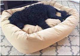 Luxury Dog Beds Designer Fabrics Super Comfortable