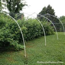 Bird Netting Structures For Fruit Trees One Year One Ton Of Fresh Food Spring Garden Review Blueberry Gardening Berry Plants Spring Garden