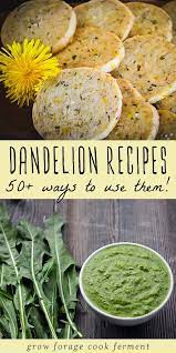 50 Dandelion Recipes Drinks Sweets Soap Remedies More Dandelion Recipes Foraging Recipes Herbal Recipes