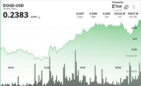 DOGE Rises 5.6% on $200M Whale Accumulation