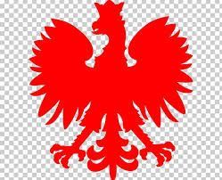 Download 89 poland flag free vectors. Coat Of Arms Of Poland Flag Of Poland Png Clipart Artwork Beak Black And White Chicken