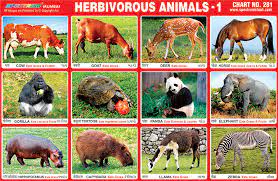 Spectrum Educational Charts Chart 281 Herbivorous Animals 1