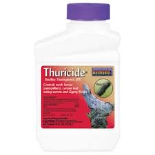 — choose a quantity of bayer advanced home pest control. Pest Control Achille Agway Brattleboro Vt Hillsboro Nh Keene Nh Milford Nh Peterborough Nh Walpole Nh