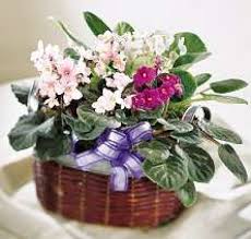 Ann Casteel Obituary