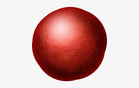 Red Clown Nose Png Red Clown Nose Transparent Png Free Transparent Png Download Pngkey Clown transparent background png image from artistic clown.