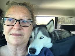 Do husky owners love petting their heads?