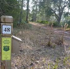 Florida state forest reserve america. Cs 48 Warren Bluff Road Campsite Tate S Hell State Forest Camping Tate S Hell And Blackwater River State Forests