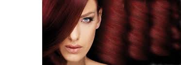 Hair Dark Auburn Color Chart Sophie Hairstyles 33589