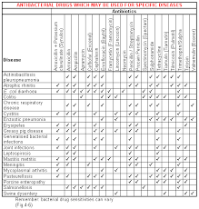 antibiotics and antibacterial medicines for diseases and