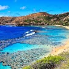 We also provide a wide variety of oahu's most popular tours. Hanauma Bay Tours On Twitter Keyhole Lagoon Is A Great Place To Start Out Has A Sandy Bottom And Easy For 1st Time Snorkelers At Hanauma Bay State Park Hanaumabay Hanaumabaystatepark Hawaii