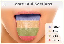 Bitter Taste In My Mouth Causes Pin On Burning Tongue