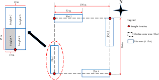 Image result for Xylia mendoncae