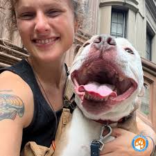 Brooklyn Bark Pet Care