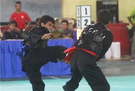 Karena pesilat membawa kebaikan untuk semua. Pencak Silat Incar Juara Umum Sea Games 2013 Republika Online