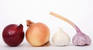 How Much Onion Is Toxic To Dogs How Serious Is This Vet S Advice
