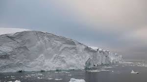 Muniz_heart pelada i visited Cleo in order to discover some